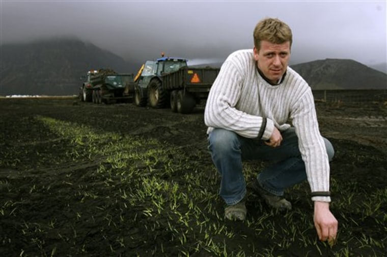 Icelandic farmer Sigurdur Thorhallsson on his ash-laden field on the farm at Hvolsvollur, Iceland, on Thursday.